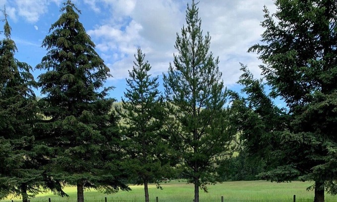 Okanagan-Similkameen Cabin | Missezula Lake Cabin 7 min walk to Beach & Lake
