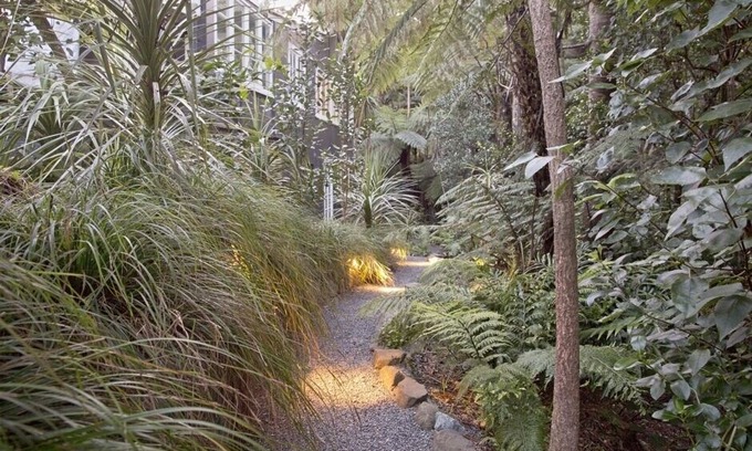 New Lynn Villa | Misty Mountain Hut - Piha