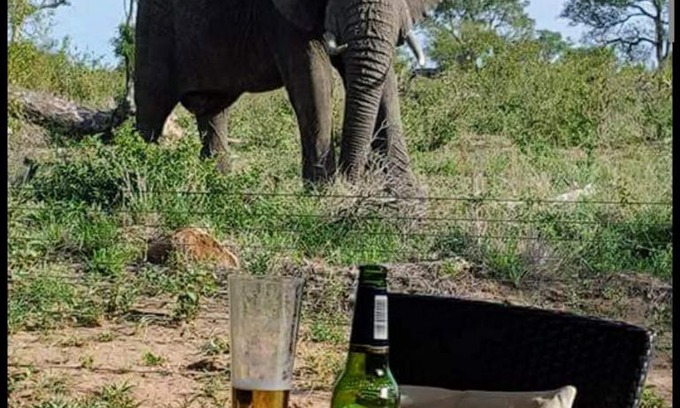 Buffelspruit Villa | Mjejane bush lodge