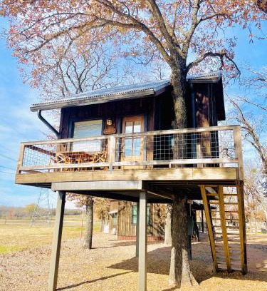 Elm Mott Other | Mockingbird Treehouse 15 MIN to MagnoliaBaylor