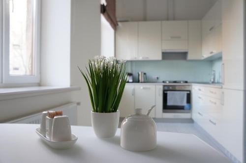Lviv City Center Apartment | Modern Apartment