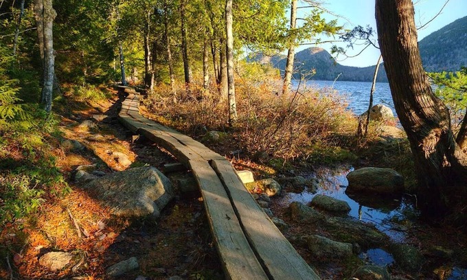 Seal Harbor Apartment | Modern Flat near Bar Harbor, Ocean Beach and Carriage Paths