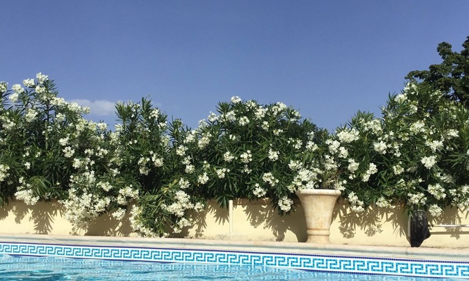 Pennapiedimonte Villa | Modern Italian Villa With Private Pool