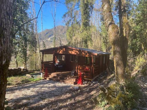 Villard-Saint-Sauveur Ski Chalet | Mon Chalet dans les bois
