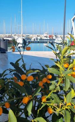 Rodi Garganico Apartment | Monolocale in vicolo storico Gin Tonic Lemon