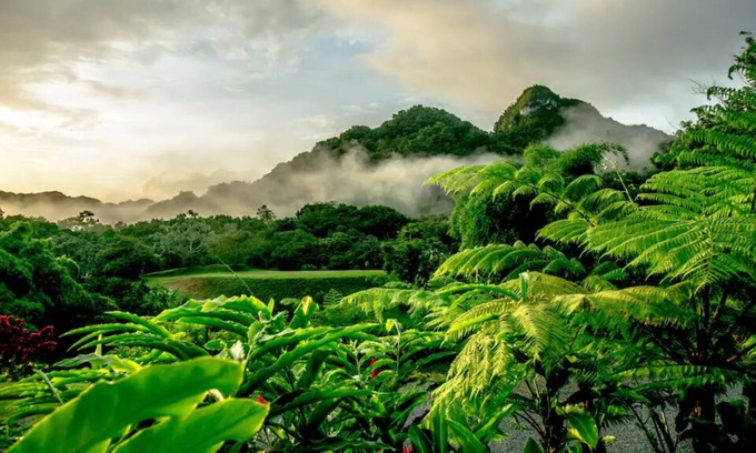 Utuado Cabin | Monte Sagrado Reserve-100 acres+wellness+River!