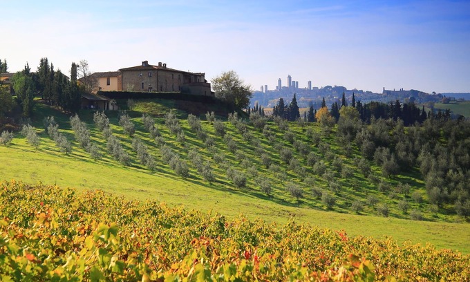 San Gimignano Other | MONTEGONFOLI 2 Apartment in countryside of San Gimignano with amazing views 4+2