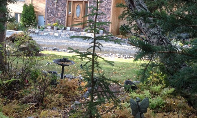 Rabbit Creek House | MOOSE MEADOW SUITE. Serenity on a large private wooded lot. Abundant wildlife