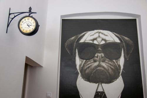 Terezvaros Apartment | Mops Bob Apartment