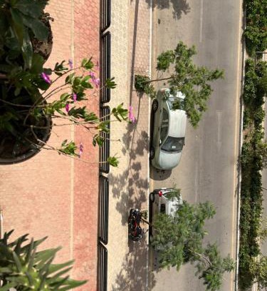 Abu Qurqas Apartment | Mori apartment