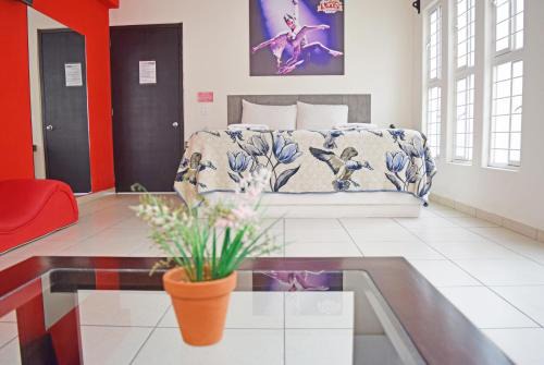 San Lorenzo Cacaotepec Hotel | Motel el Circo