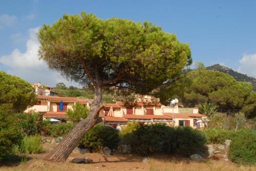 Olmeto Hotel | Motel Logis d'Abartello