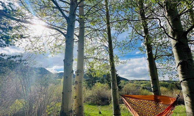 Frisco House | Mountain Modern Loft I Pet Friendly I Walk to Whole Foods I Skating Pond Access