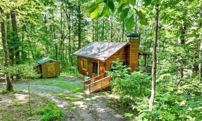Blue Ridge Cabin | Mountain Top cabin when you need a break from EVERYTHING! Last min ok. No min nt