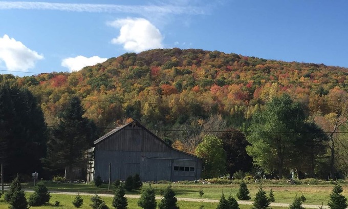 North Bennington Cabin | Mountains, pond, old barn, hiking trails- quintessential Vermont