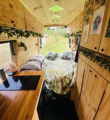 Bondi Beach Apartment | Mr Rainforest the Campervan
