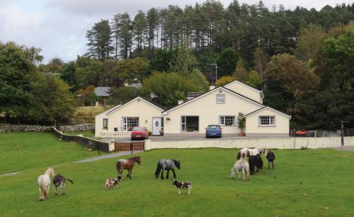 Muckross House | Muckross Riding Stables