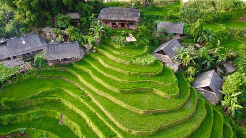 Sa Pa House | My's Homestay sapa