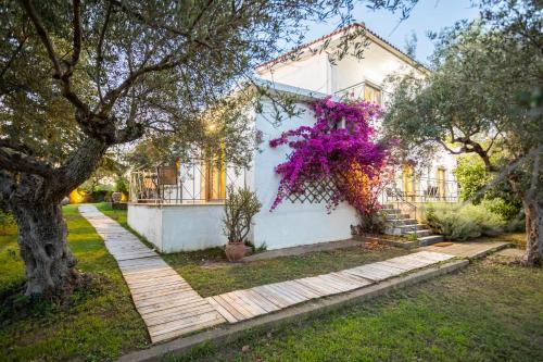 Myrtea House | Myrtia Olive Hideaway - Rustic Retreat with Private Garden