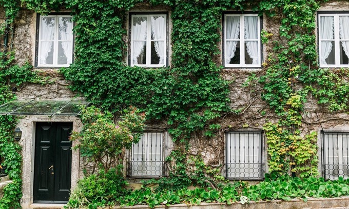 Sintra Other | Mystical and Charming Villa in Sintra