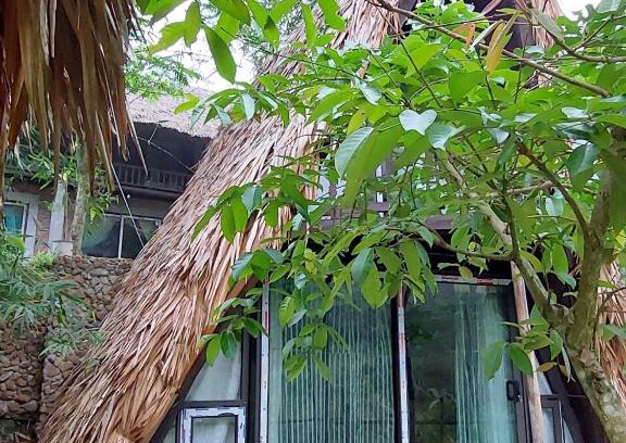 Luong Son Apartment | Nả Yên Retreat Lương Sơn Hòa Bình - Bungalow view suối