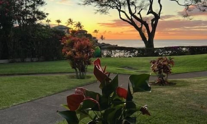 Napili Apartment | Napili Point A26 ~ Cozy Ground-Floor 1BD Ocean Front Views