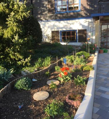Steina Apartment | Natur pur mit Fernblick für Wanderfreunde