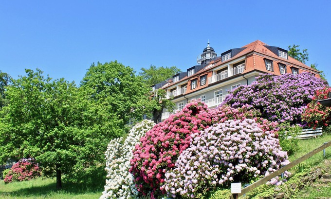 Loschwitz Apartment | Nature and art, peace and vision