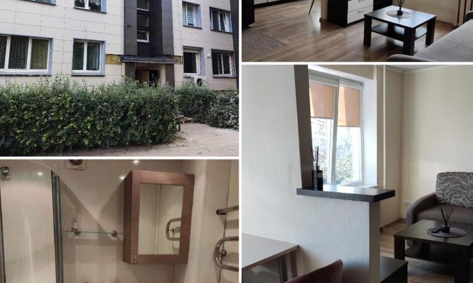 Panevezys Apartment | Nemunas
