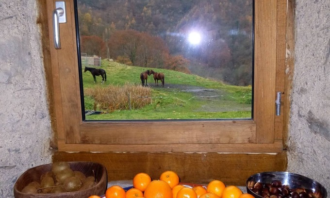Bagneres-de-Bigorre House | Nestled snugly into the foothills of the French Hautes-Pyrenees.