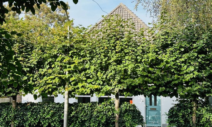 Bergen House | Neu: Charmantes Ferienhaus in Schönster Lage in Bergen