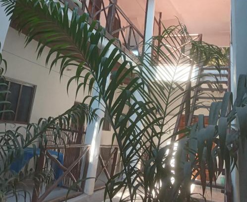 Jambiani House | New Iddi Villa