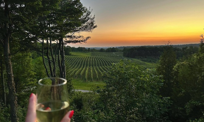 Traverse City House | New Listing! Incredible Views Home on Old Mission Peninsula