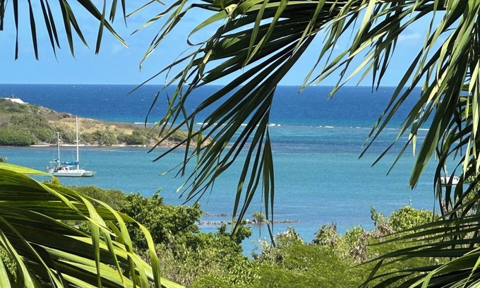 La Grande Princesse Villa | NEW LISTING! Large 4/4 Villa on St. Croix USVI with pool & view