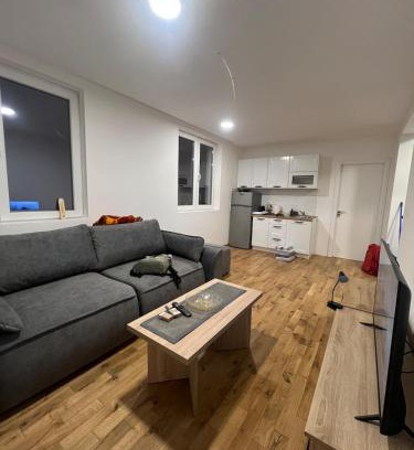 Raska Apartment | New resort Treska, Kopaonik