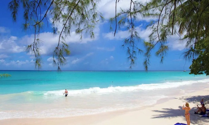 Callendar House | NEW! Tropical Haven in Oistinsnn