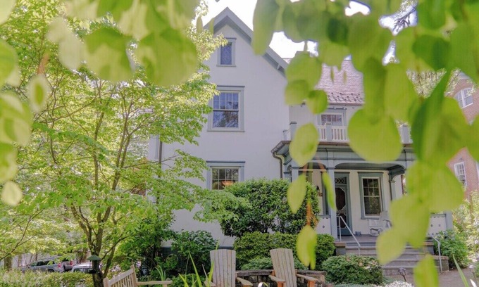 North Downtown Apartment | Newly remodeled basement apt just two blocks from the downtown mall - 2 miles to hospital