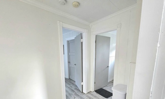 Grand Rapids House | Newly Renovated in Grand Rapids Downtown