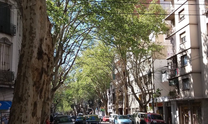 Abasto Apartment | Nice Apartment 344ft²/32m² 1br Almagro (CABA - Almagro)