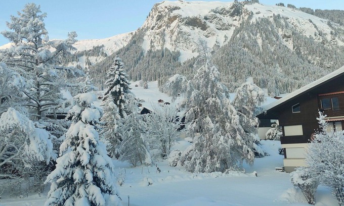 Lenk Apartment | Nice apartment for 5 people with WIFI and balcony