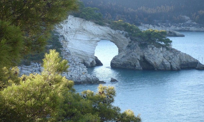 Chiesiola Cottage | Nice apartment with AC, in beautiful national park