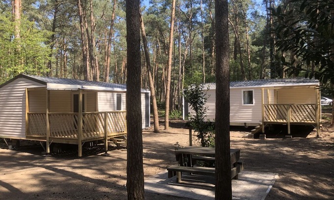 Wechelderzande Villa | Nice chalet with deck, in the Antwerp Kempen