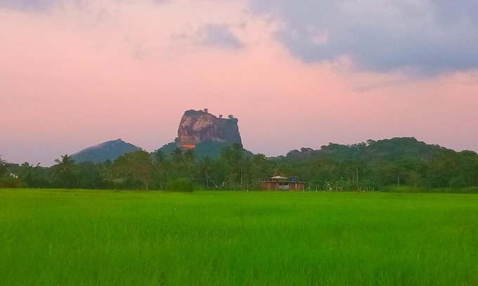 Sigiriya Cabin | Nice View Lodge