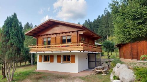 Gerardmer Ski Chalet | Nouveau le Ské chalet, terrain clôturé, garage, animaux acceptés, proche lac