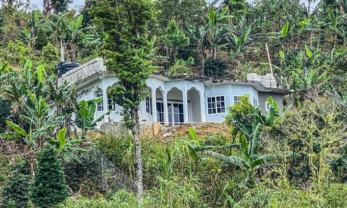 Penlyne Castle House | O-T on the rise Bed and Breakfast, three miles away from the Blue Mountain Peak.