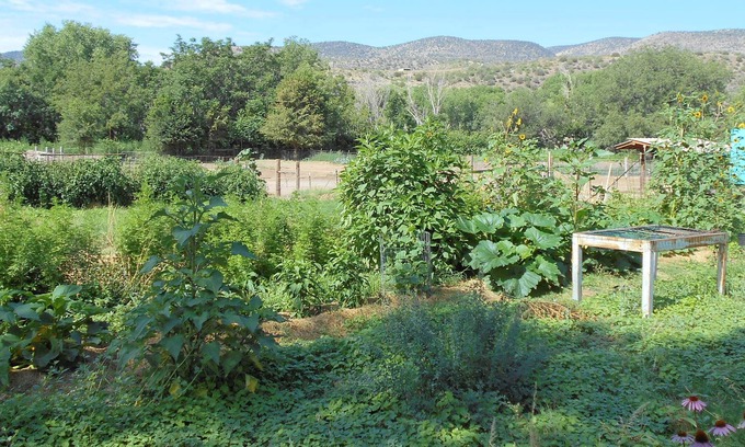 Mule Creek House | Oasis by the Wilderness