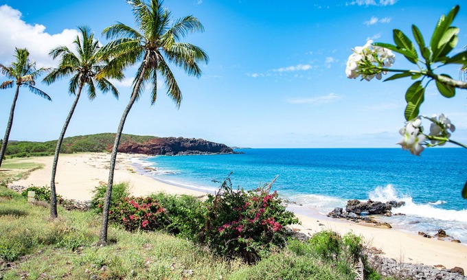 Maunaloa Apartment | Ocean View, Ground-Floor Condo w/Lanai, WiFi, Shared Pool - Walk to Beach