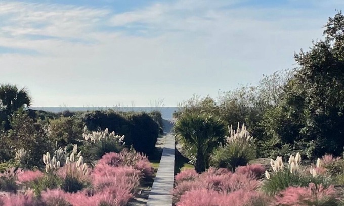 Isle of Palms House | Oceanfront House-NOT a Condo- Views-PrivatenWalkway-5 StarnLocation-Screen Porch
