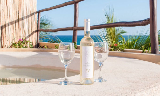 Majahual Apartment | Oceanfront penthouse with private rooftop, pool and bbq area