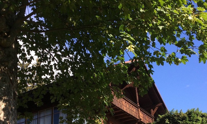 Villars-sur-Ollon Ski Chalet | Old chalet with lots of charm and panoramic view